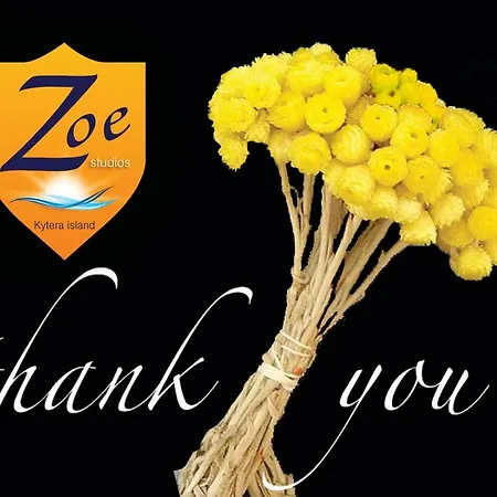 Zoe *
